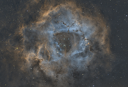 Caldwell 49