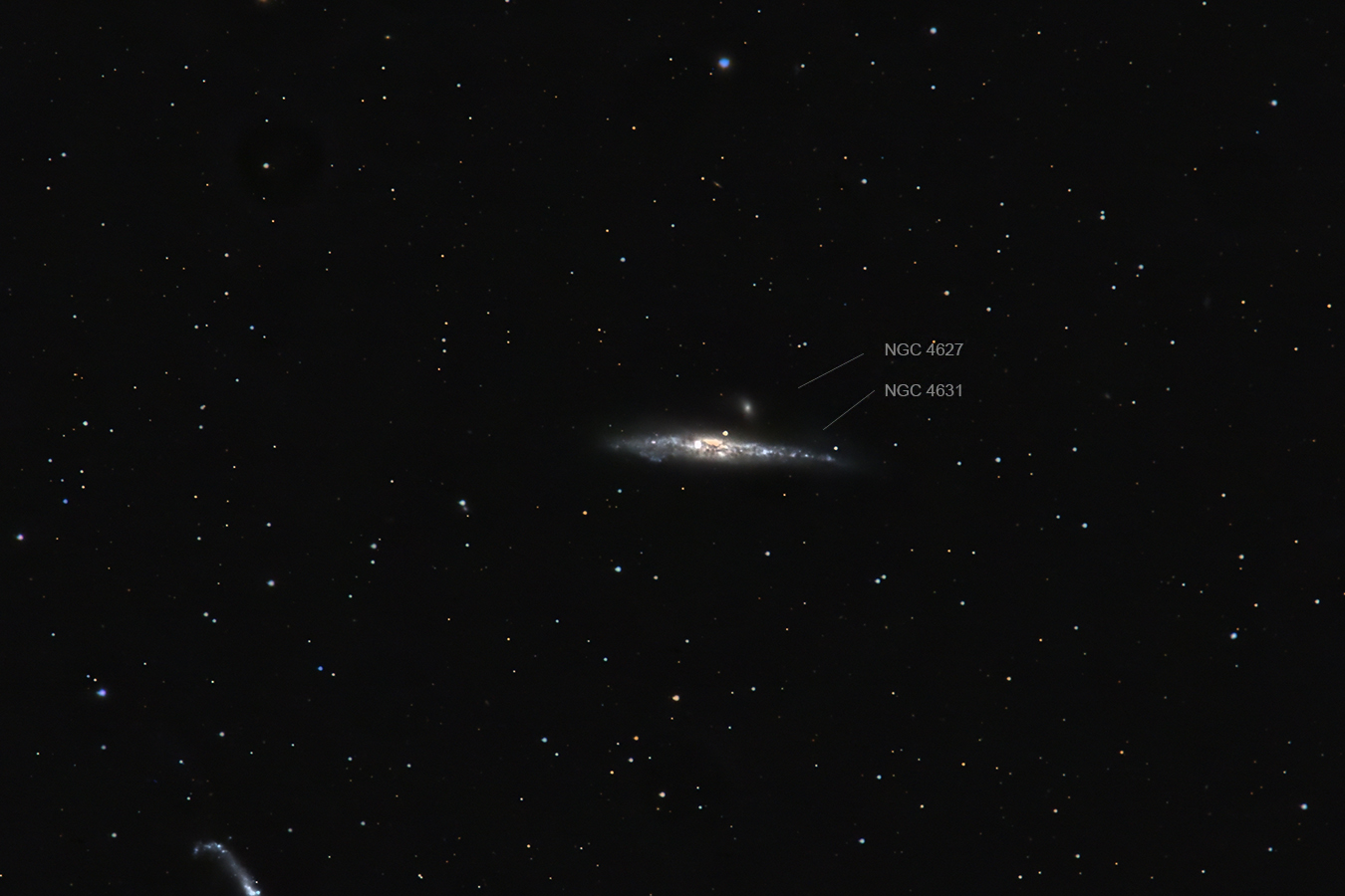 Caldwell 32 – NGC 4631