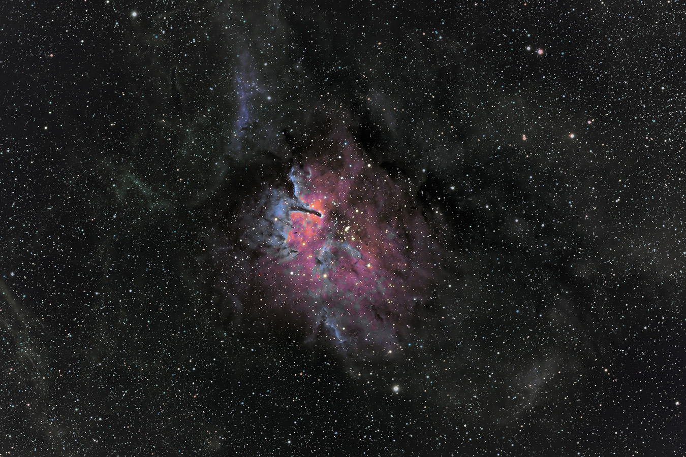 Collinder 404