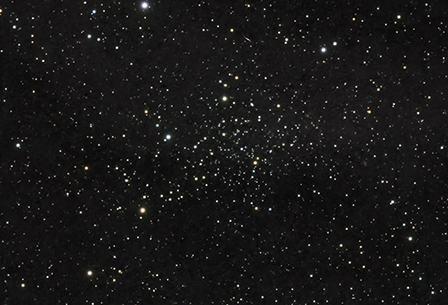 Cr442