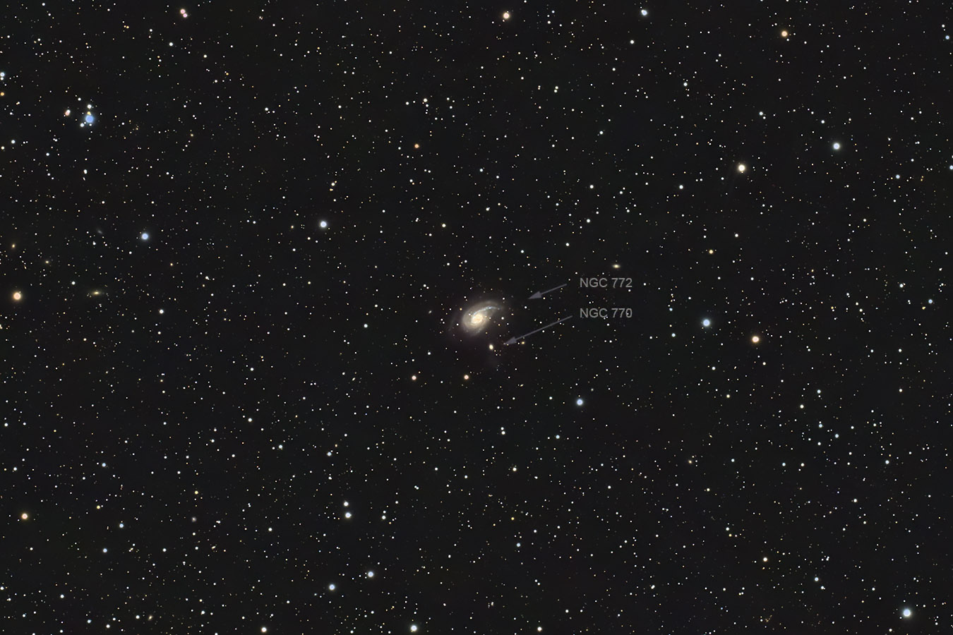 Arp 78 — NGC 772