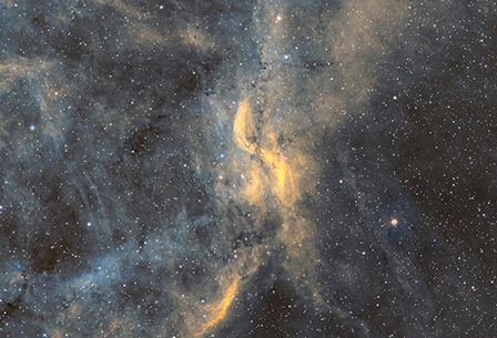 DWB 118